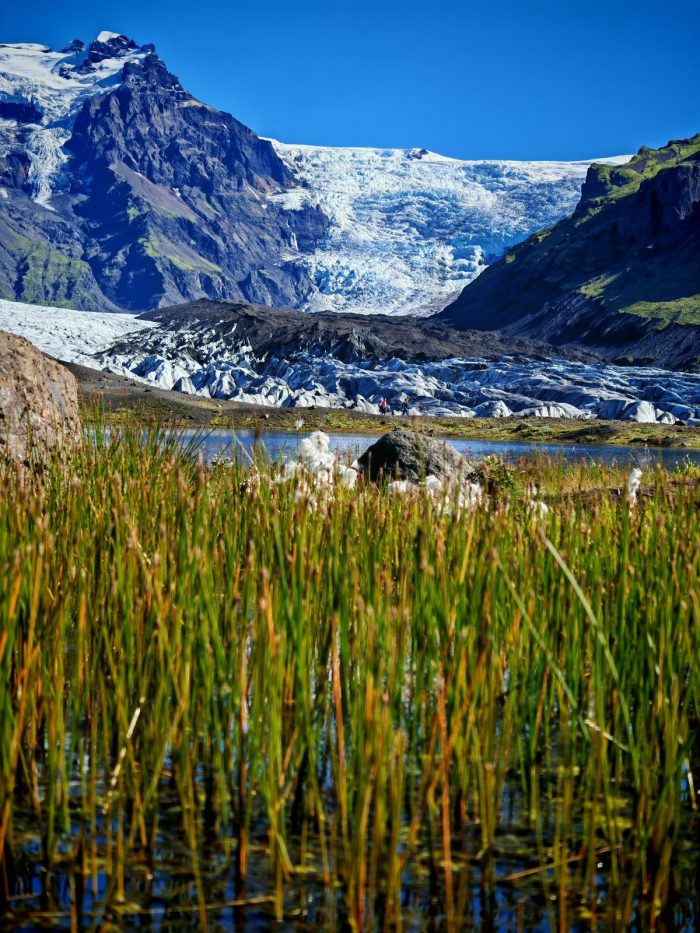 Lago glaciale con canne e ghiaccio sullo sfondo