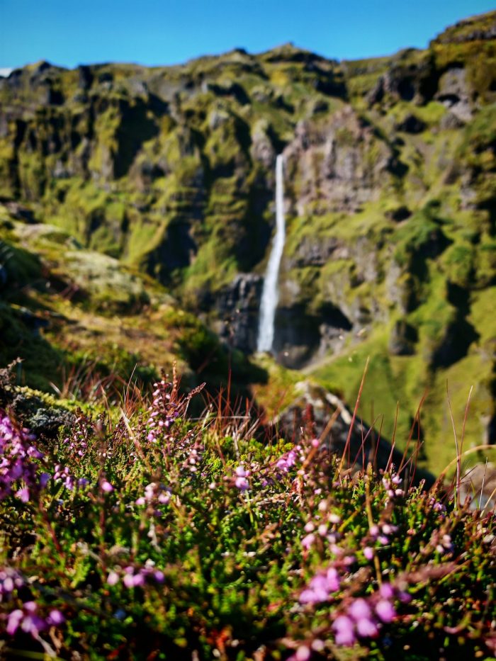 Cascata laterale e fiori in primo piano