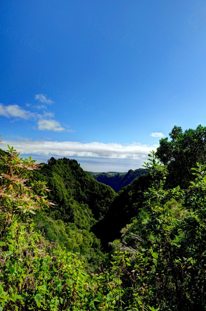 Vista panoramica di una valle boscosa con cielo azzurro e nuvole sparse