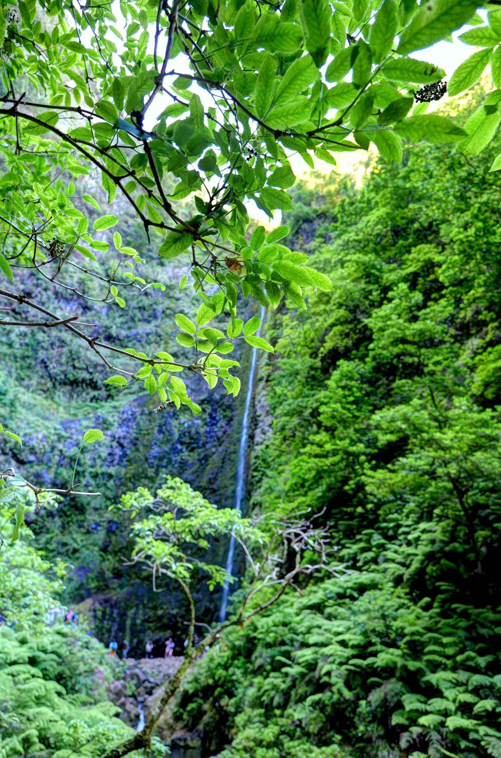 Cascata sottile fra fitta vegetazione verde con persone in basso