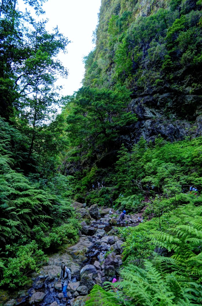 Persone che camminano su un sentiero fra rocce e vegetazione in un canyon