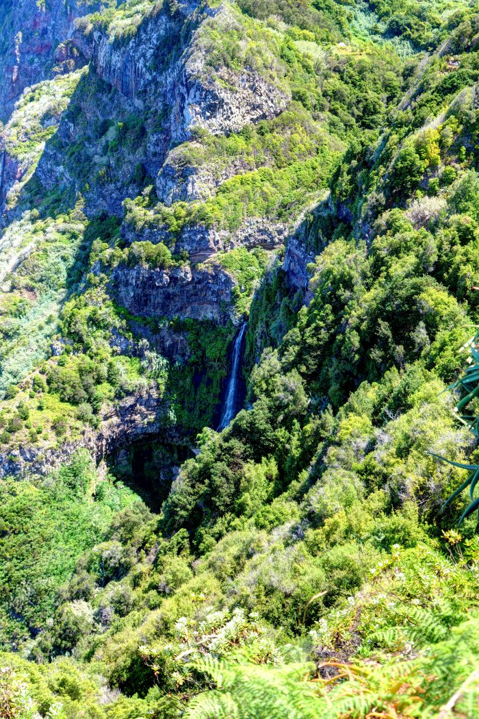 Canyon con una cascata fra vegetazione densa e rocce