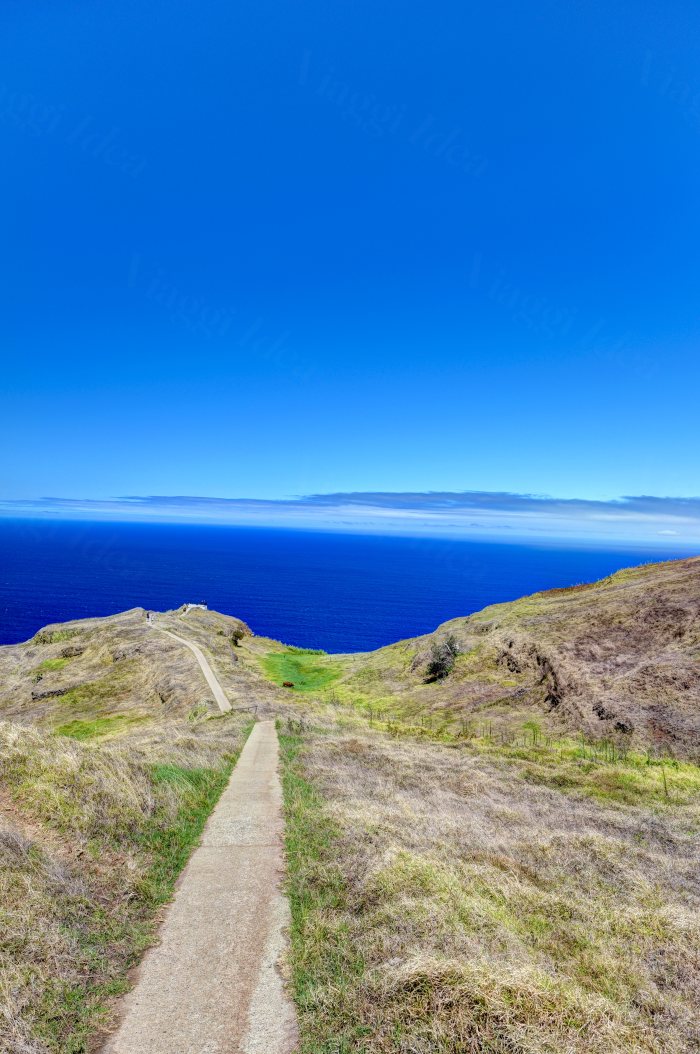Sentiero che scende verso il mare in un paesaggio costiero