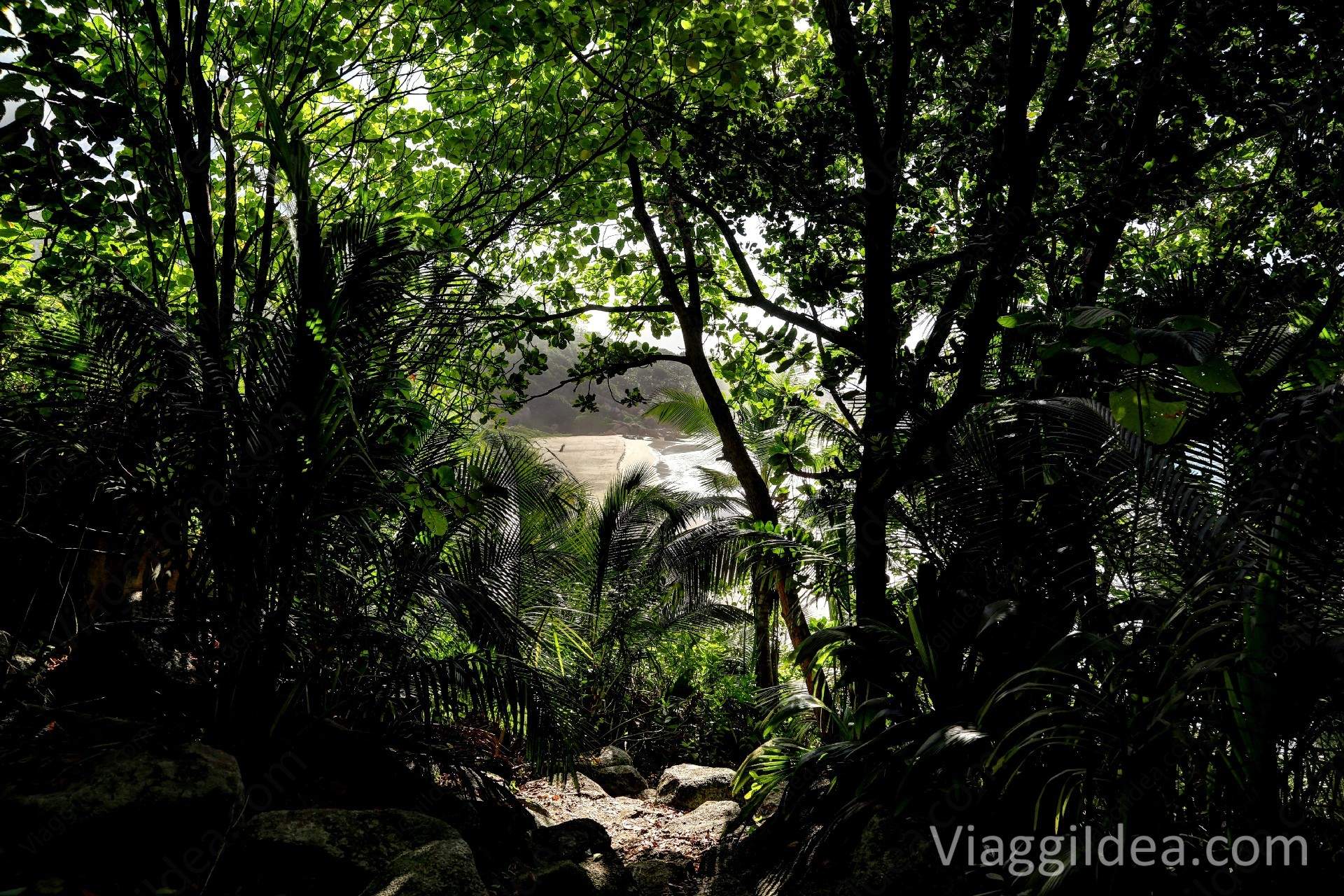 View of Petite Anse