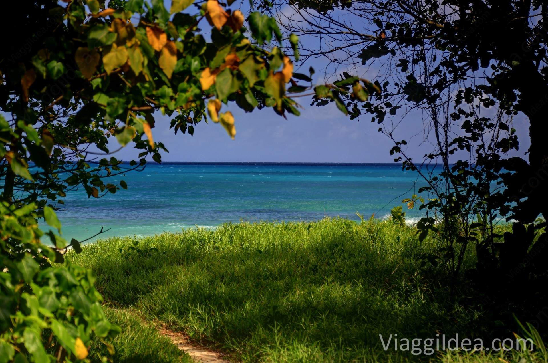 Anse Louis - Mahe